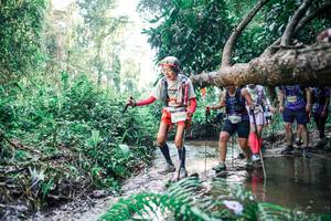 BIB: 
                            <button type="button" onclick="openModal(25460732)" class="btn btn-primary btn-sm float-right btn-popup" data-toggle="modal" data-target=".modal-high-quality">
                        <i class="fas fa-shopping-cart"></i> Add to Cart
                    </button>
                                            <button type="button" onclick="isThisMe(25460732, true)" class="btn btn-success btn-sm float-right btn-popup btn-isme hidden" data-toggle="tooltip" data-placement="bottom" title="นี่คือรูปของคุณใช่ไหม คลิกที่นี่เพื่อเอาเข้าอัลบั้ม">
                        <i class="fas fa-plus"></i> Add to album
                    </button>
                    <button type="button" onclick="isThisMe(25460732, false)" class="btn btn-warning btn-sm float-right btn-popup btn-isnotme hidden">
                        <i class="fas fa-ban"></i> Remove from album
                    </button>